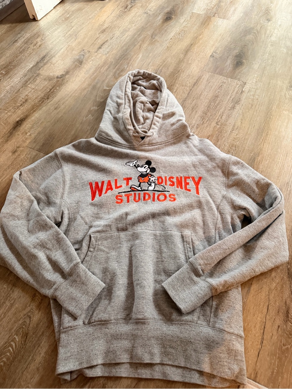 Disney 100 Anniversary Hoodie